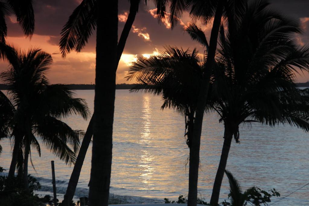 Travellers Beach Resort Nadi Extérieur photo